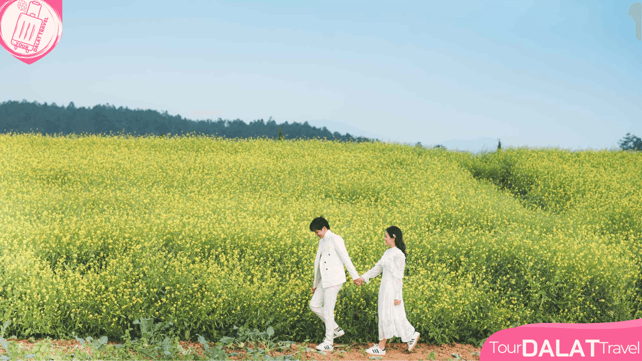 Thời tiết Đà Lạt tháng 9