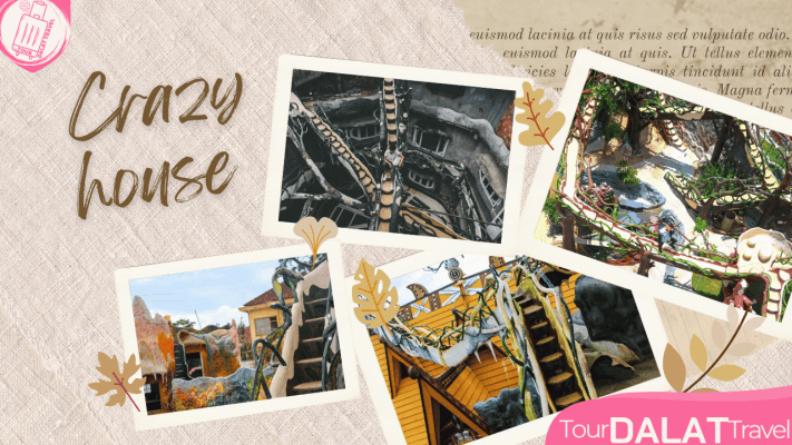 Crazy House – Biệt thự Hằng Nga