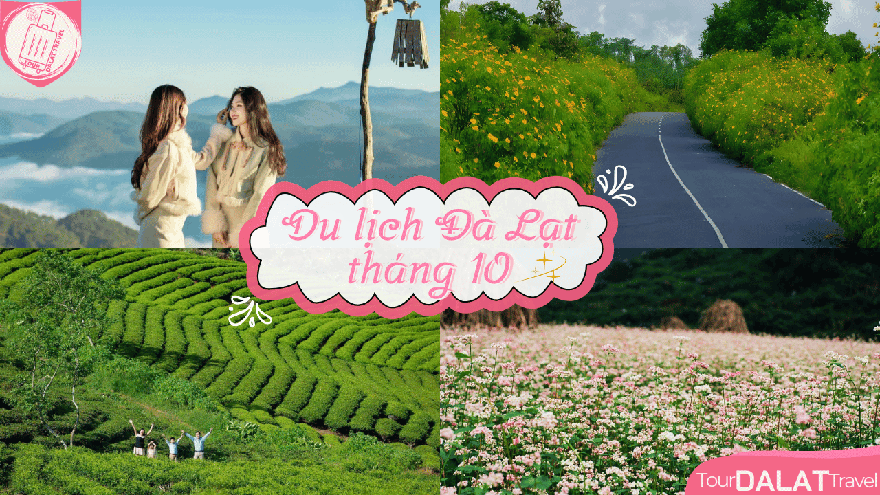 Du lịch Đà Lạt tháng 10