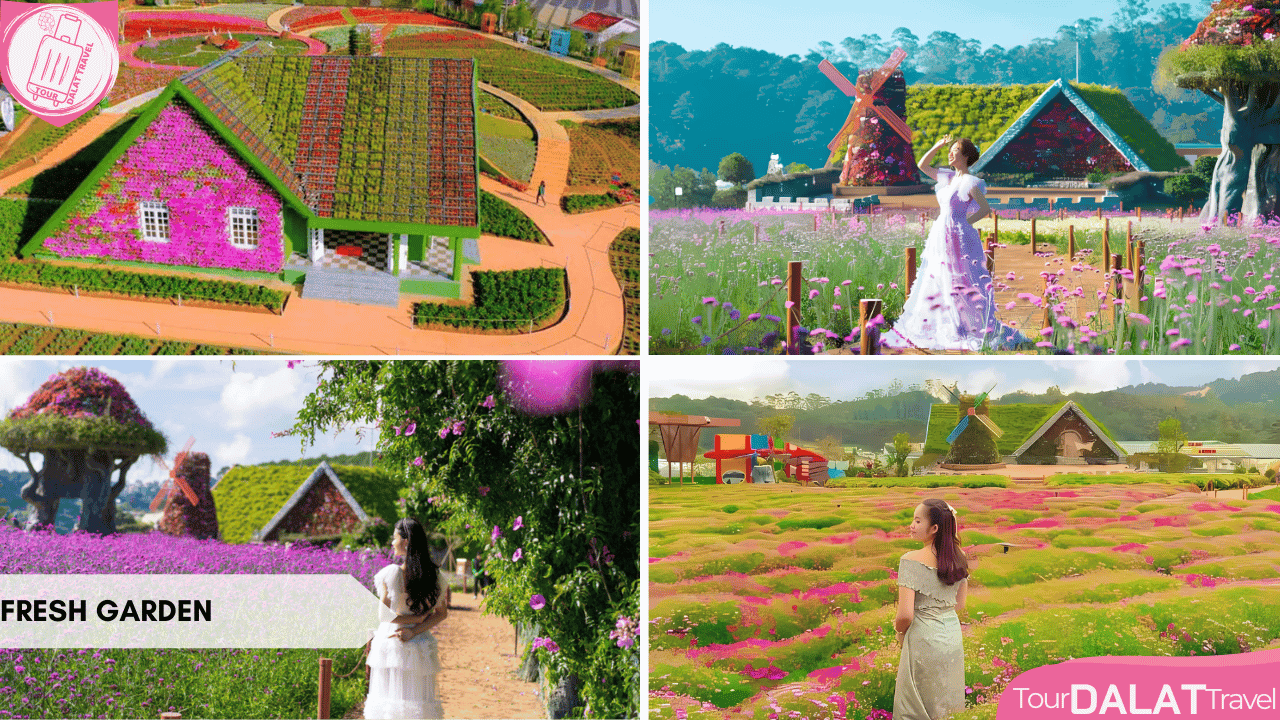 Du lịch Đà Lạt tháng 10 - Fresh Garden
