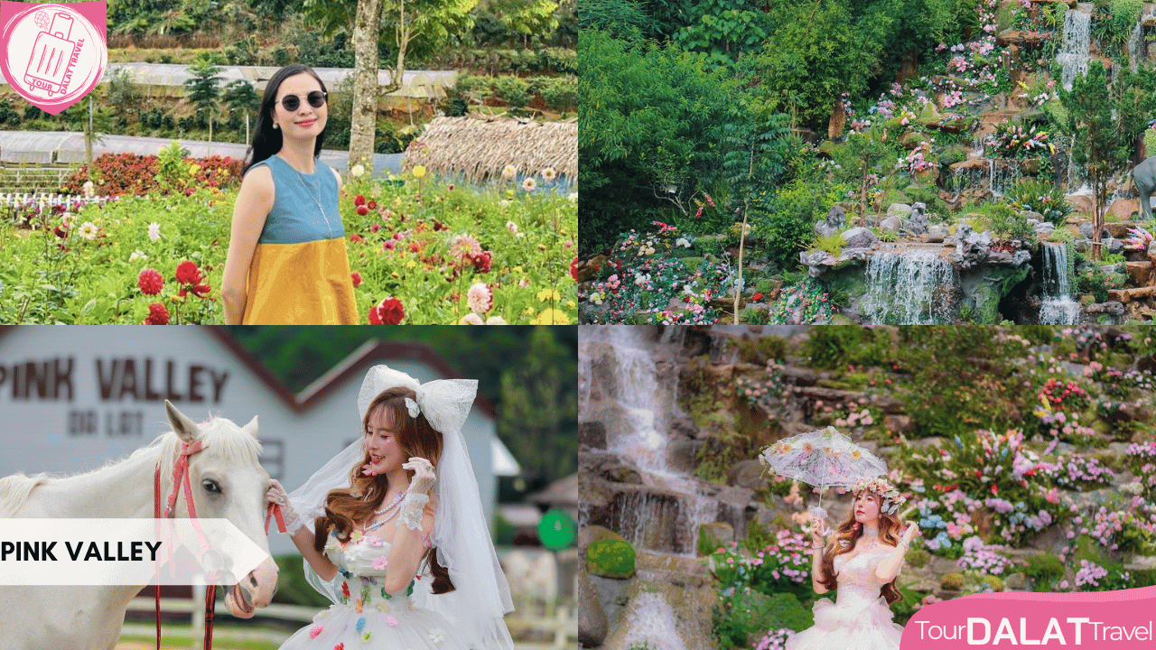 Du lịch Đà Lạt tháng 10 - Pink Valley