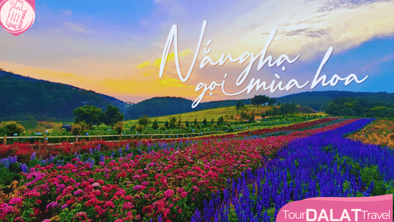 The Florest Hoa Trong Rừng Đà Lạt