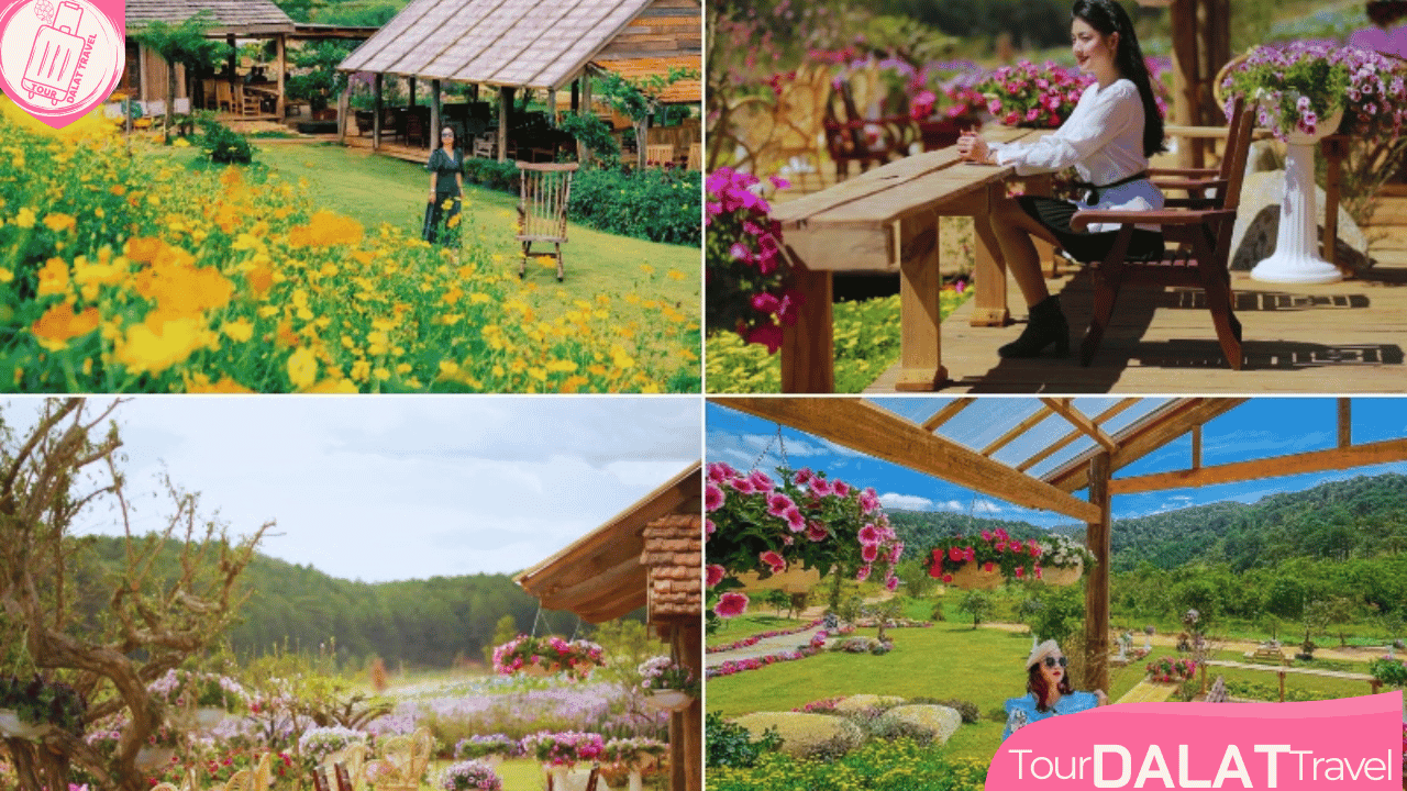 The Florest Hoa Trong Rừng - cà phê