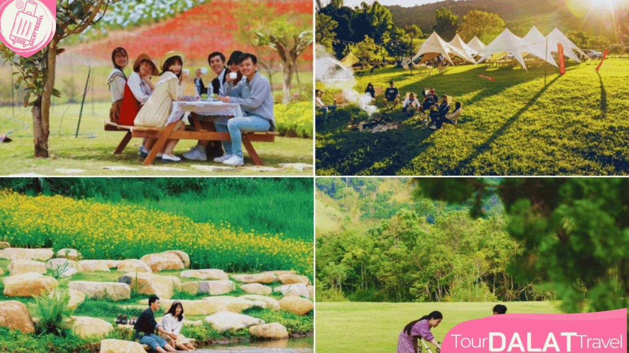 The Florest Hoa Trong Rừng- camping