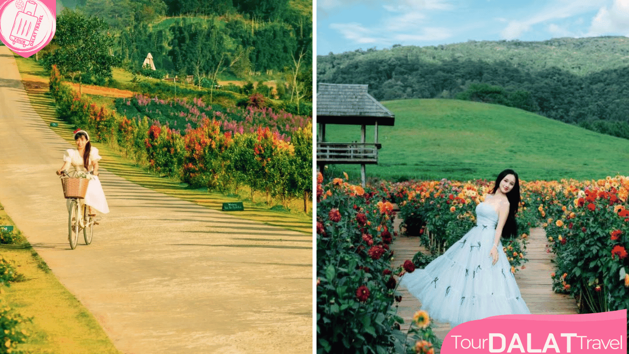 The Florest Hoa Trong Rừng