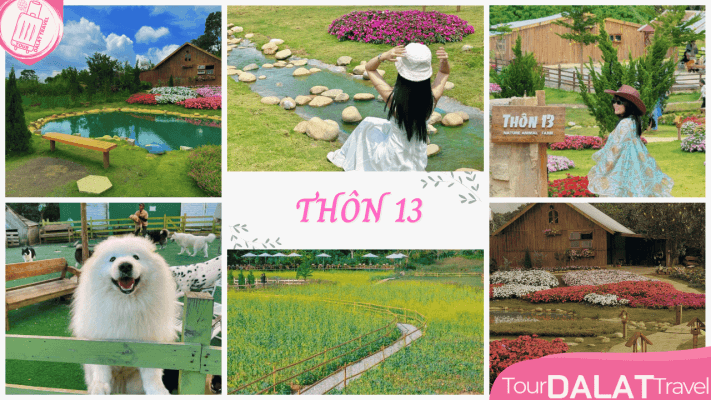 Thôn 13