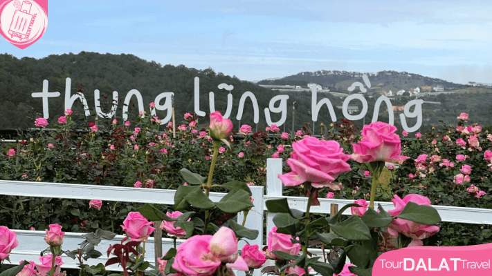 Thung lũng hồng-Pink valley