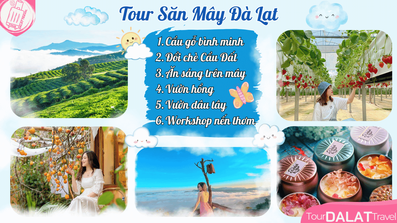 Tour Đà Lạt 1 Ngày - Tour săn mây