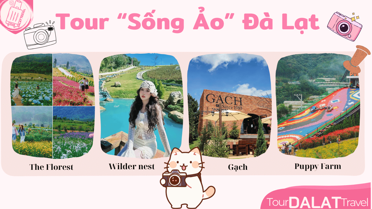 Tour Đà Lạt 1 Ngày - Tour sống ảo