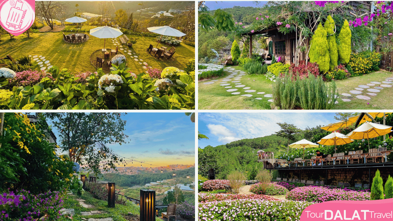 Cà phê Dốc Thị Đà Lạt