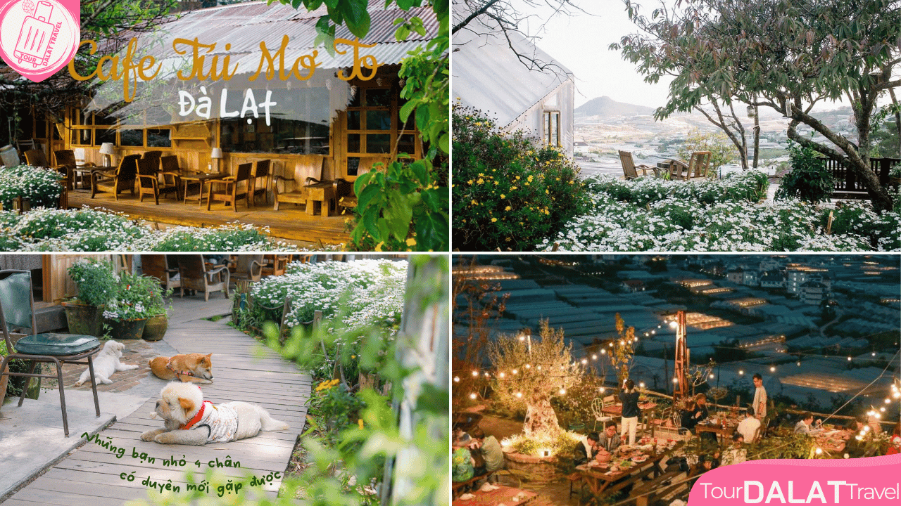 Cà phê Túi mơ to Đà Lạt