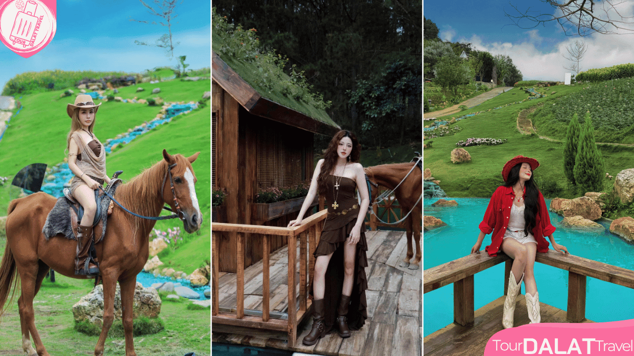 Cà phê Wilder nest Đà Lạt