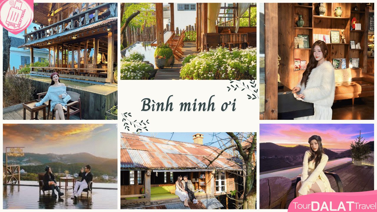 Coffee Bình minh ơi Đà Lạt-tiểu cảnh