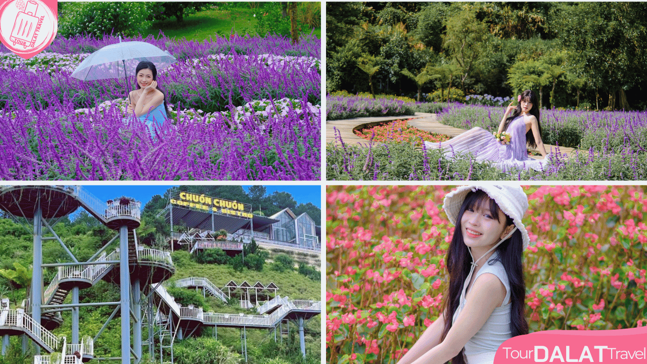 KDL Chuồn Chuồn Đà Lạt-đồi hoa