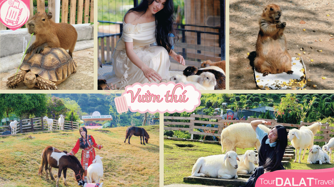 KDL Chuồn Chuồn Đà Lạt-vườn thú