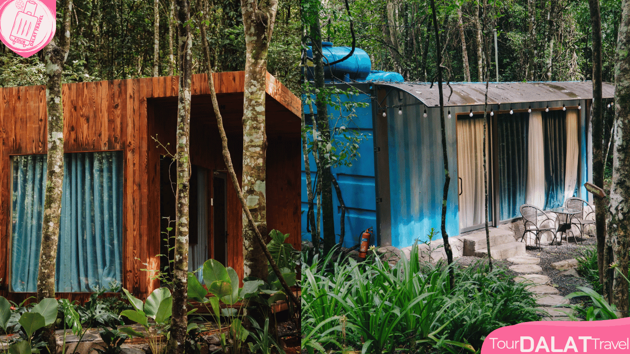 KDL Rừng thông núi voi Đà Lạt-bungalow