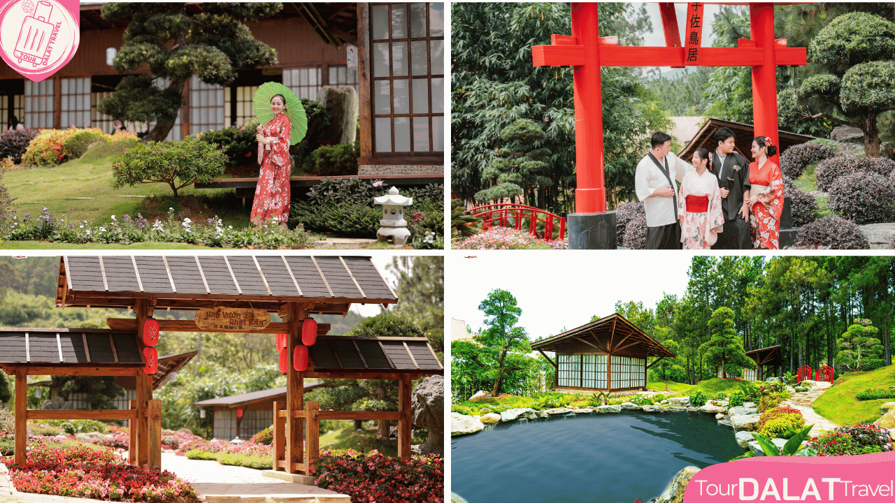 KDL Rừng thông núi voi Đà Lạt- cổng trời Nhật Bản