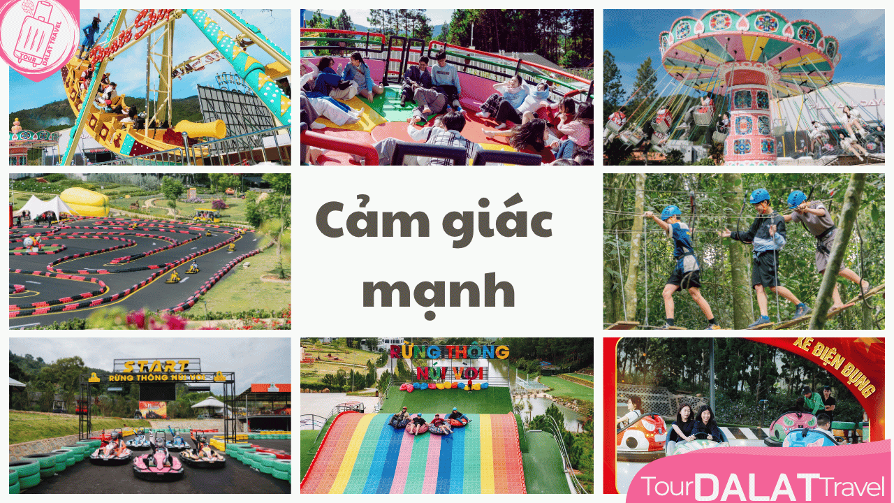 KDL Rừng thông núi voi Đà Lạt-trò chơi cảm giác mạnh