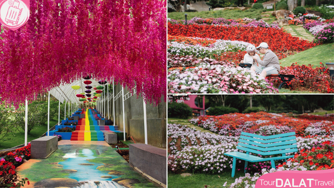 KDL Rừng thông núi voi Đà Lạt- vườn hoa