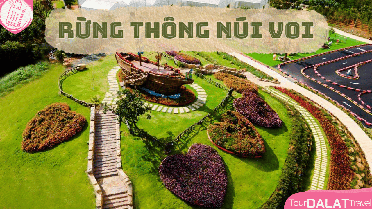 KDL Rừng thông núi voi Đà Lạt