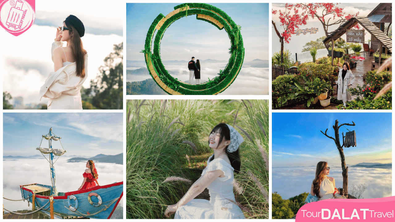 Panorama Cầu Đất- săn mây Đà Lạt- tiểu cảnh