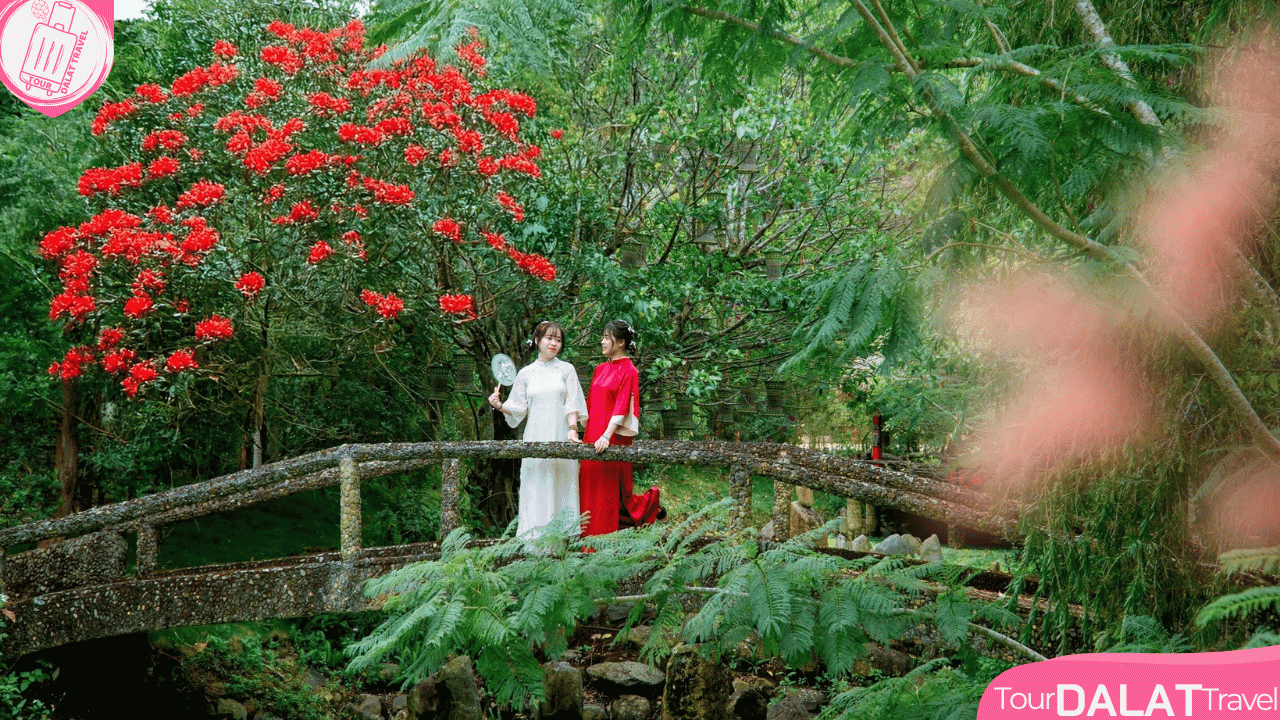 Pini- Quỷ núi Suối ma Đà Lạt