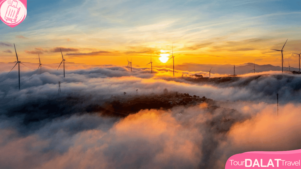 Panorama Cầu Đất Săn mây Đà Lạt