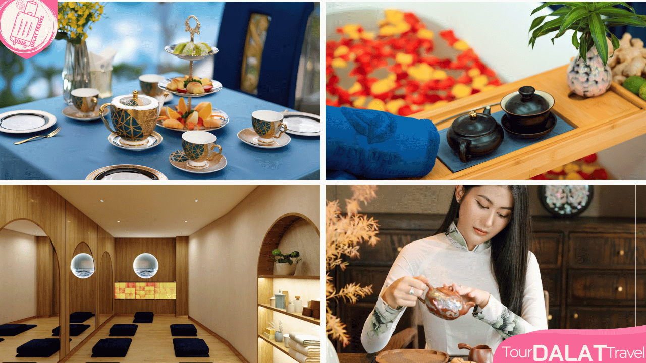 Tea Resort Prenn Đà Lạt - Thưởng trà