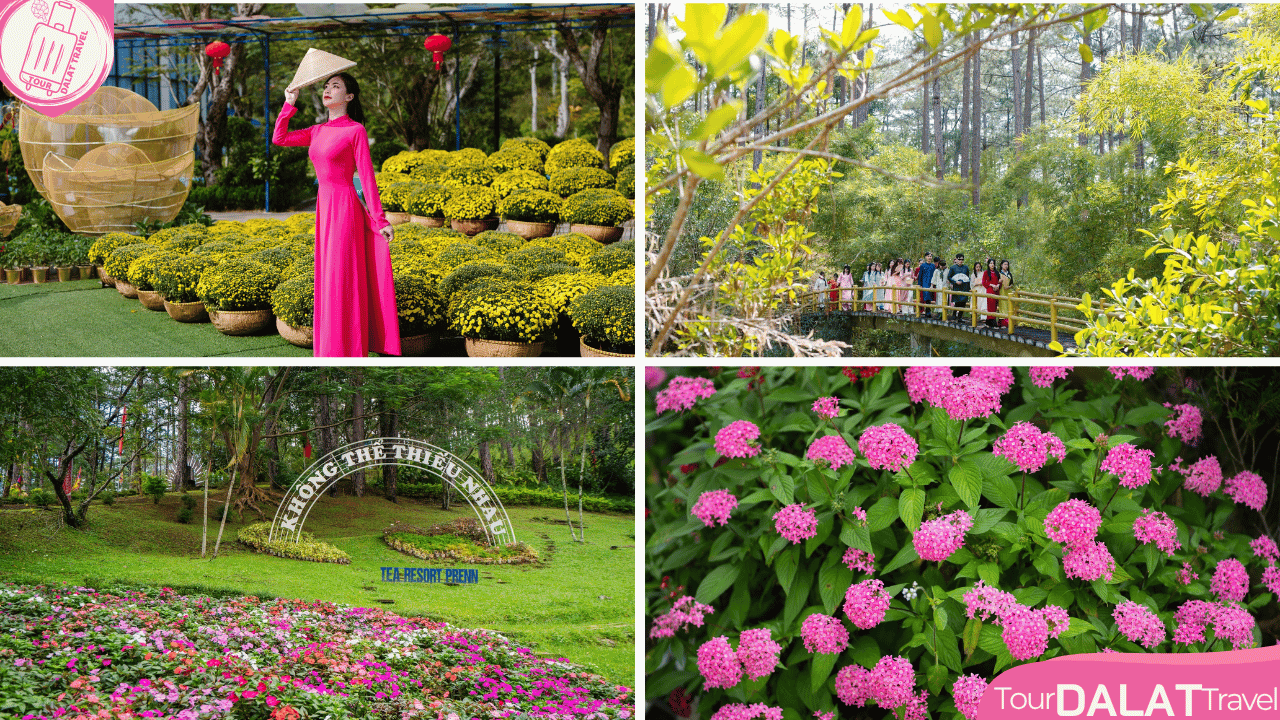 Tea Resort Prenn Đà Lạt -khu vườn hoa và cảnh