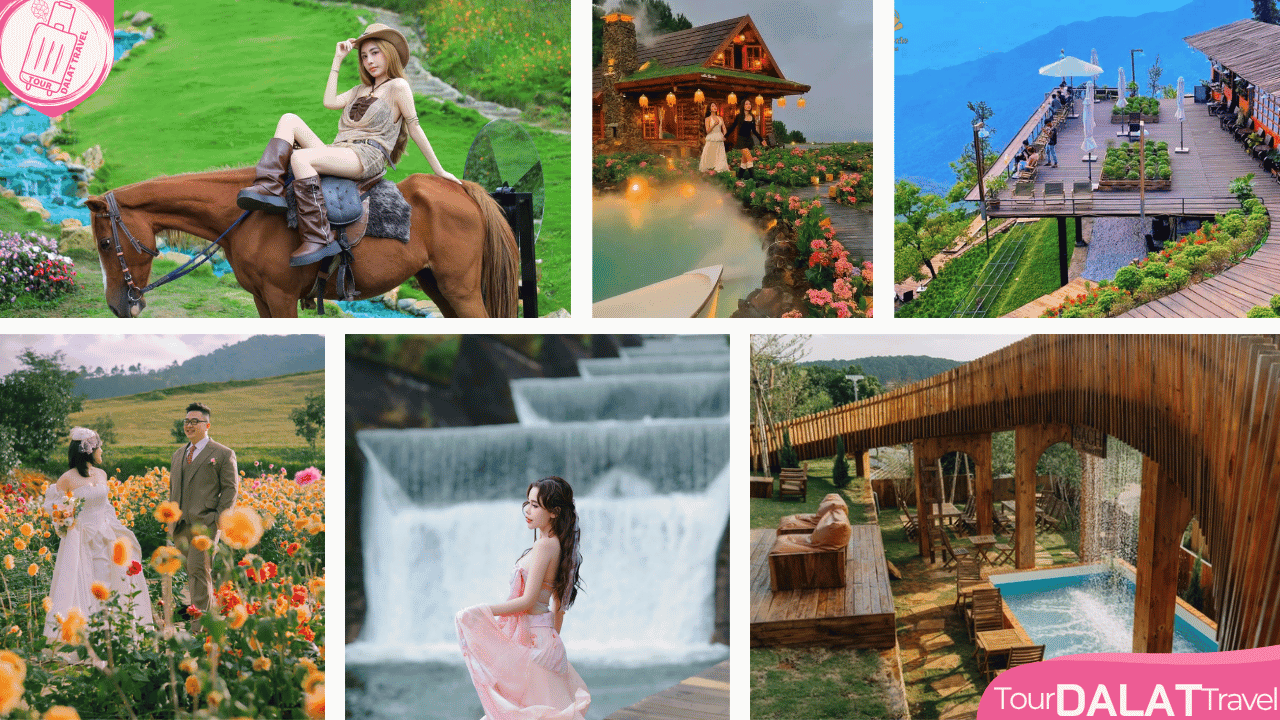 Top cafe đẹp Đà Lạt