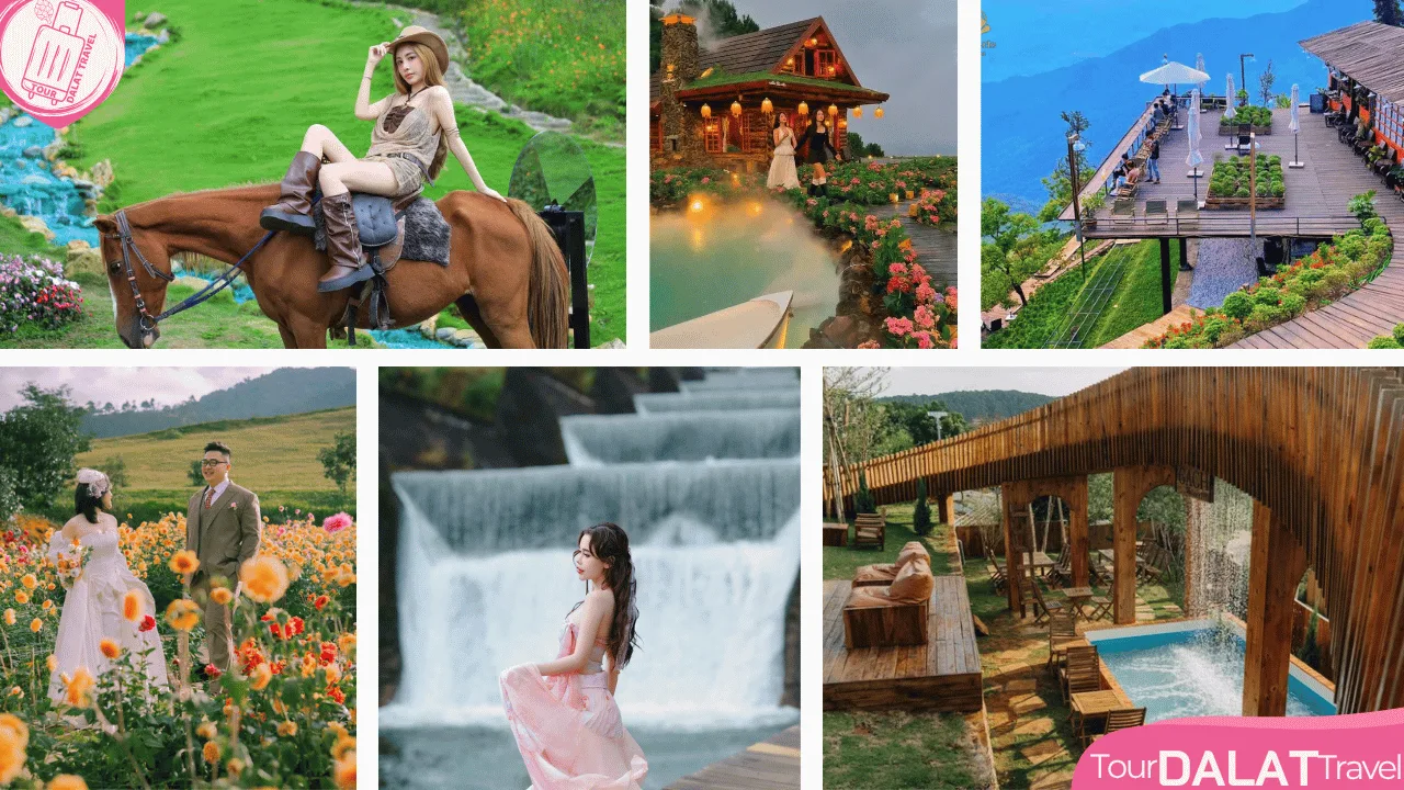 Top cafe đẹp Đà Lạt