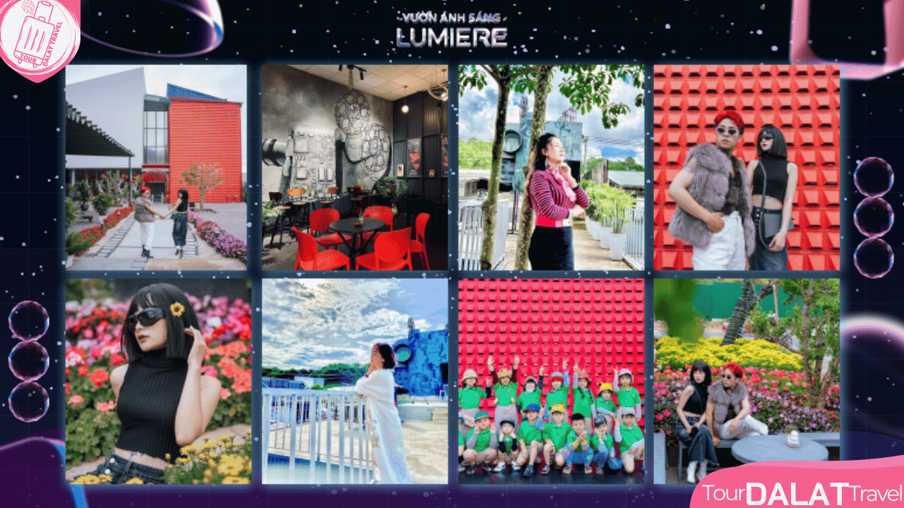 Vườn ánh sáng Lumiere Đà Lạt-sân vườn & cà phê
