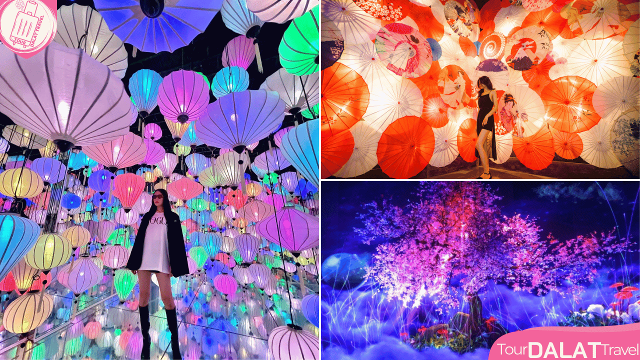 Vườn ánh sáng Lumiere Đà Lạt- thung lũng Nhật Bản