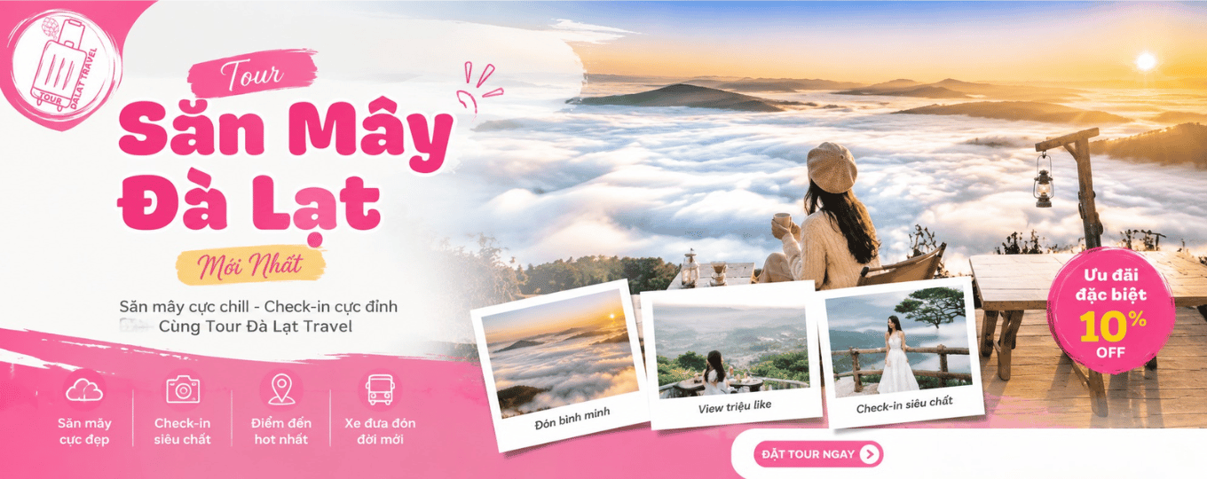 Tour Săn Mây Check in