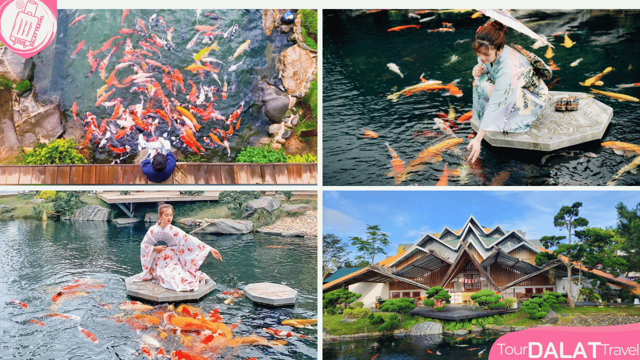 KDL Lá Phong Đà Lạt-hồ cá koi