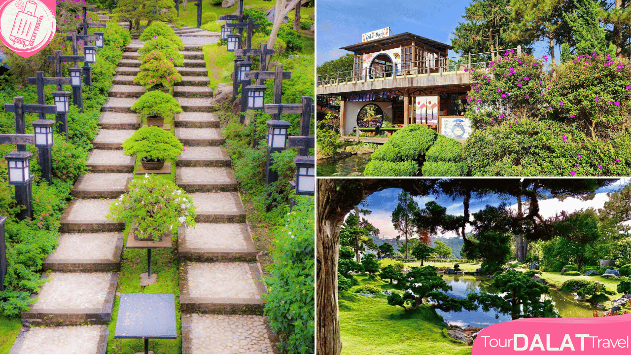 KDL Lá Phong Đà Lạt-vườn bonsai